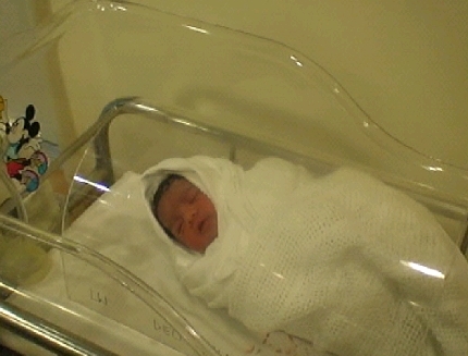 feelin so cold & sleepy..hmm..