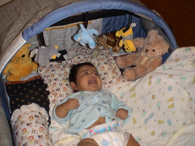 So many friends to play with!